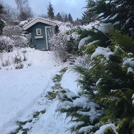 Schoenwald Waldchalet Am Musenberg Stryck Buitenkant foto