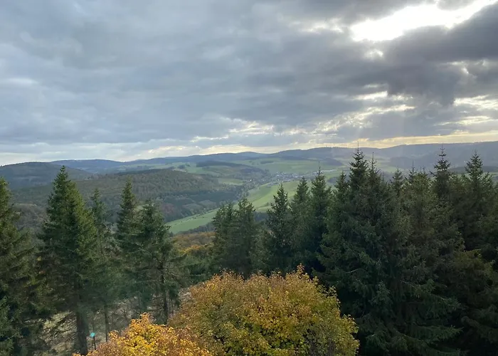 Schoenwald Waldchalet Am Musenberg