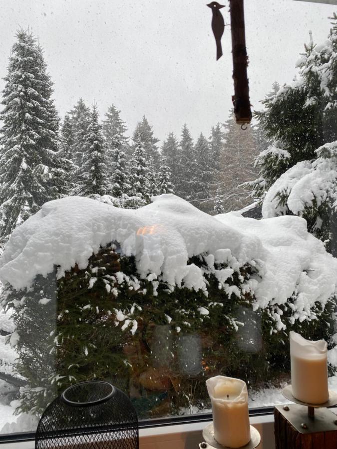Holiday home Schoenwald Waldchalet Am Musenberg Stryck