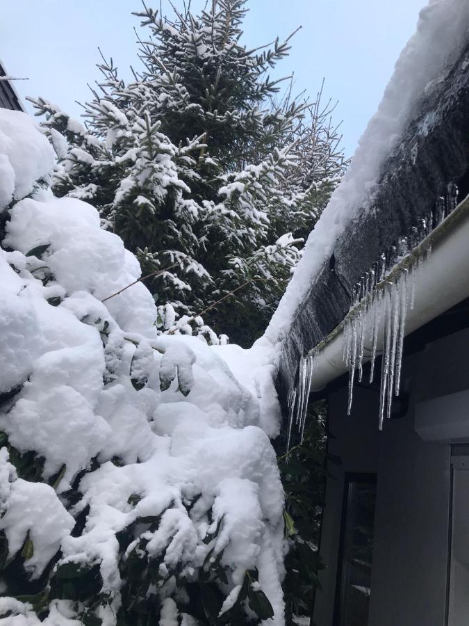 Schoenwald Waldchalet Am Musenberg Holiday home