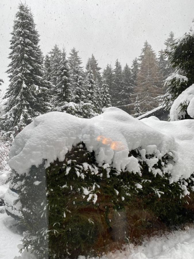 Schoenwald Waldchalet Am Musenberg Holiday home Stryck