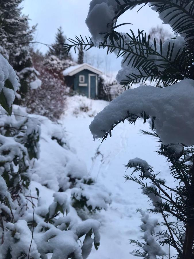 Schoenwald Waldchalet Am Musenberg Holiday home Stryck