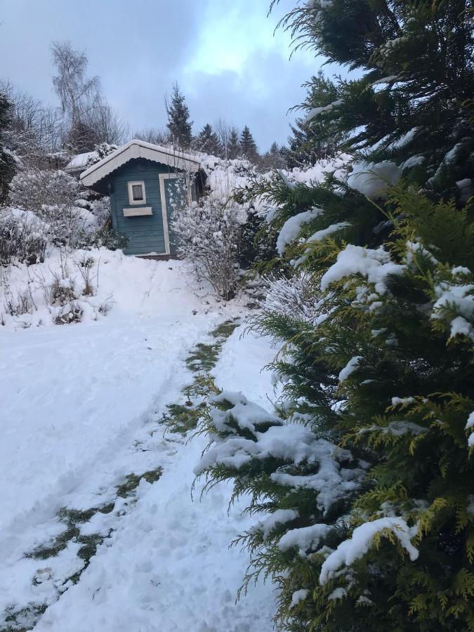 Holiday home Schoenwald Waldchalet Am Musenberg