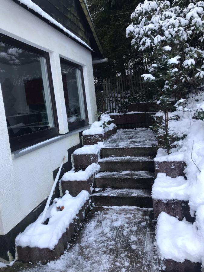 Holiday home Schoenwald Waldchalet Am Musenberg