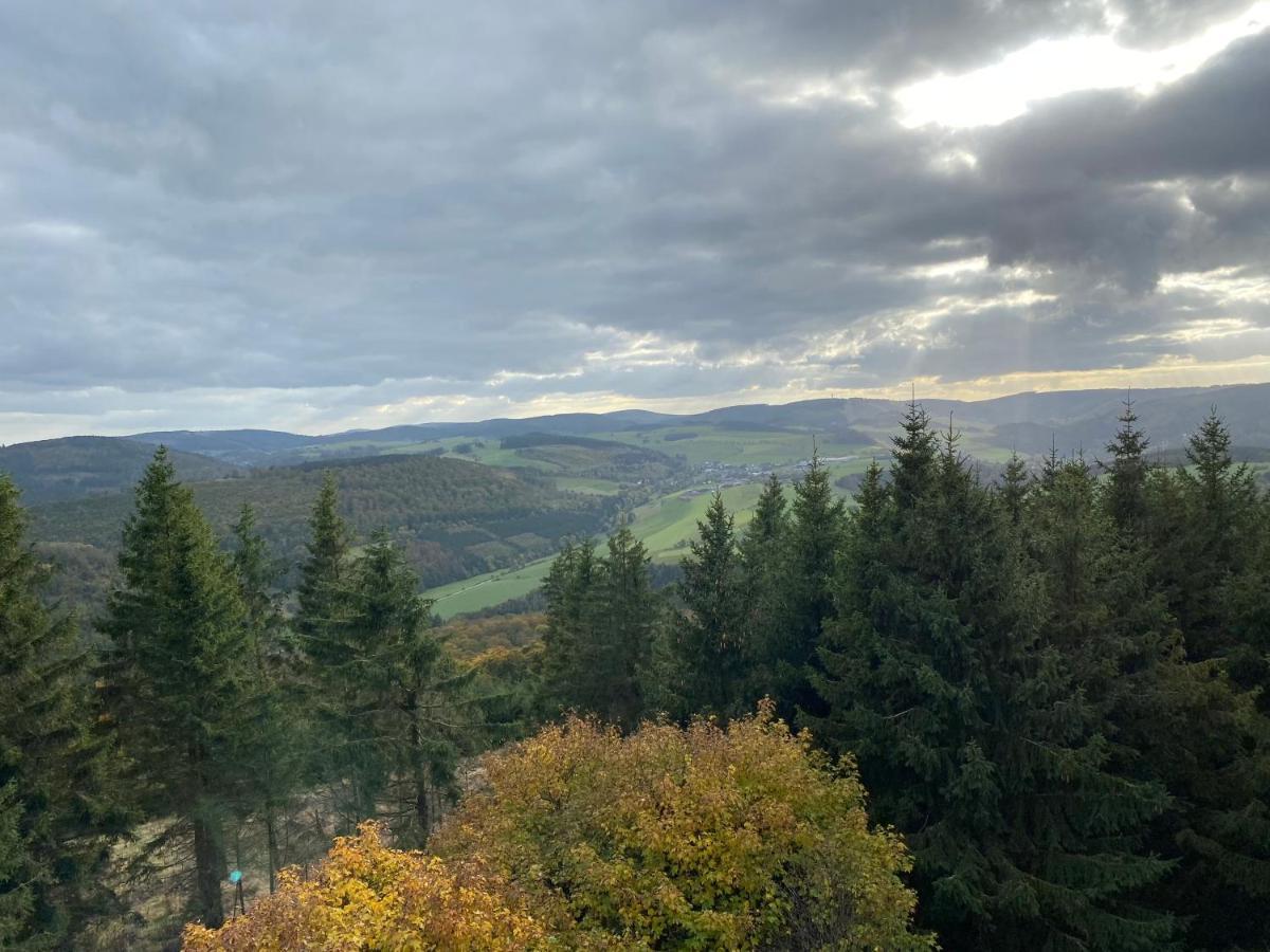 Schoenwald Waldchalet Am Musenberg Stryck