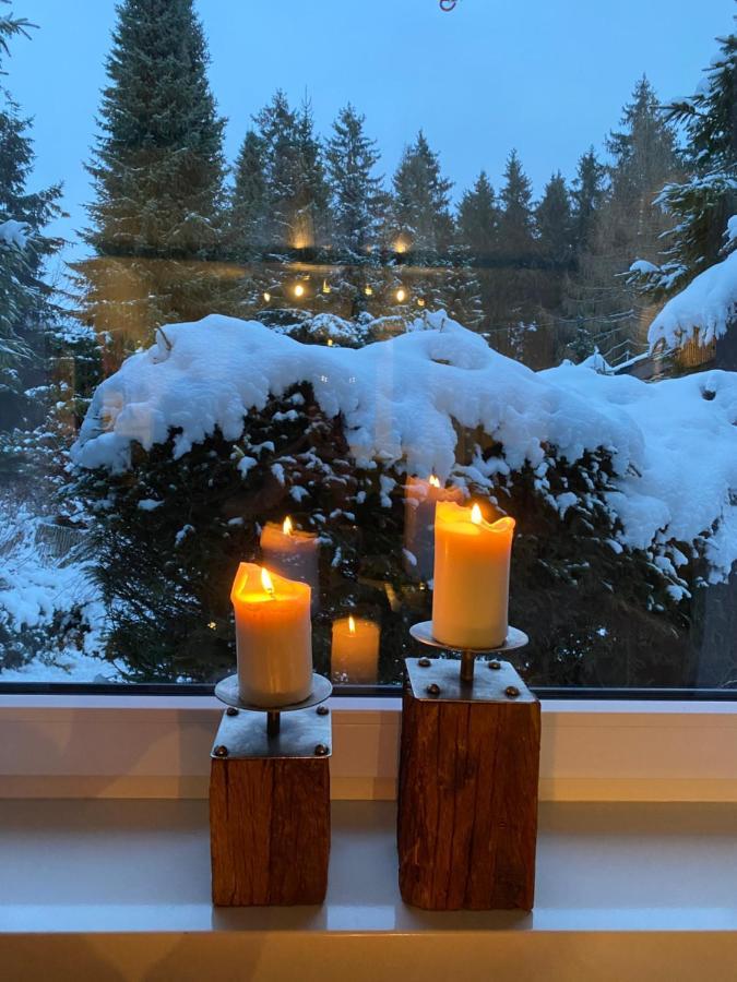 Schoenwald Waldchalet Am Musenberg Holiday home