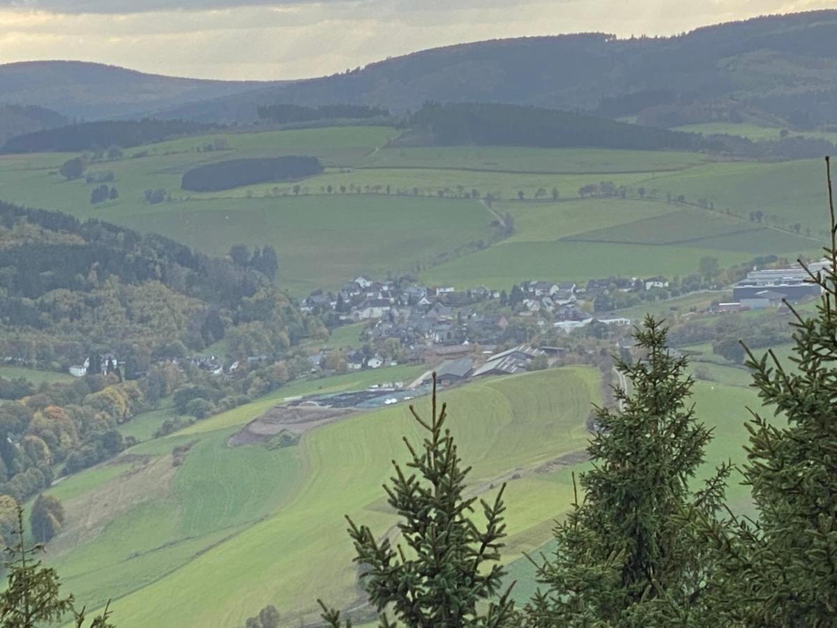 Schoenwald Waldchalet Am Musenberg Holiday home *